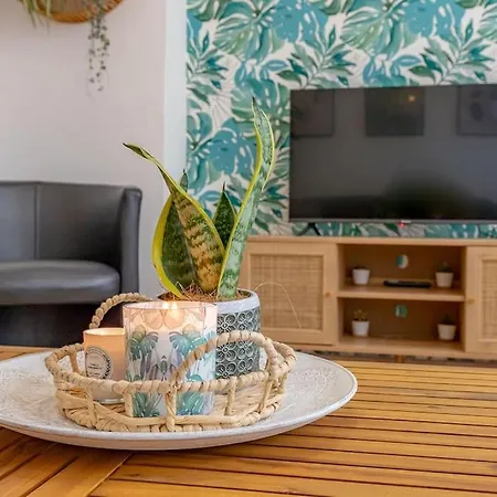 Rio's Cozy In The Heart Of