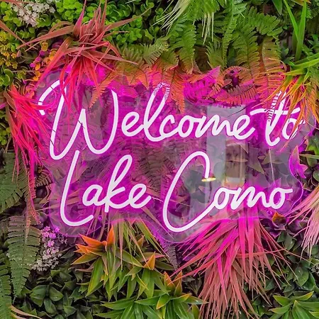 Rio's Cozy In The Heart Of